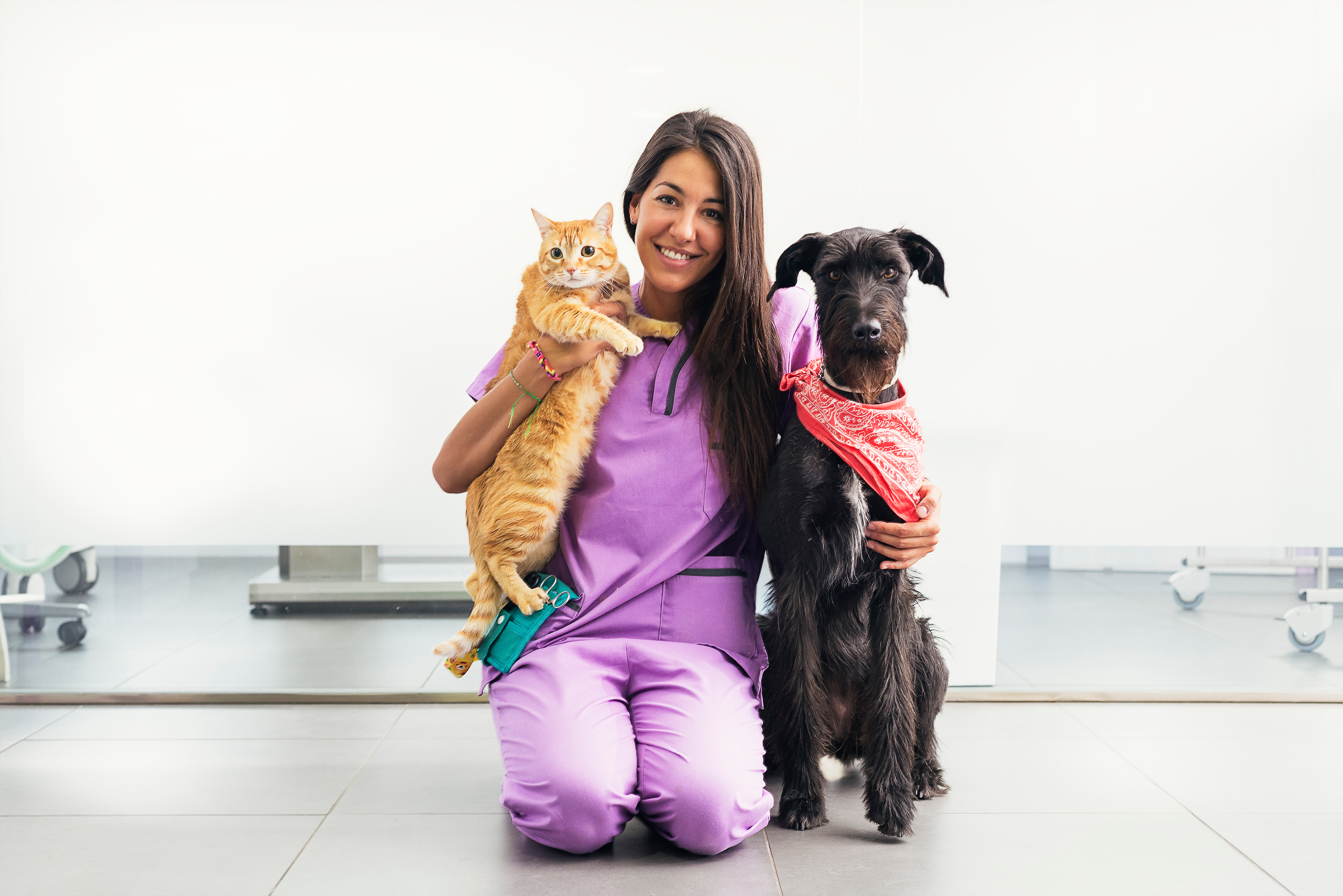 Dr. Elena Rossi